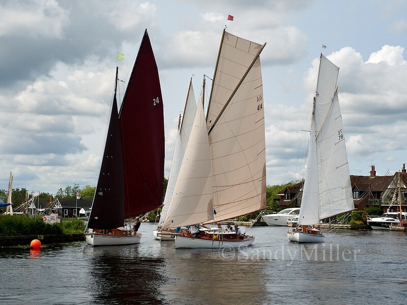 _1010137 - 3 Rivers Race 2025