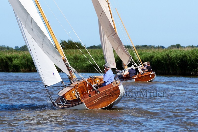_DSC5303 - YSC Cantley Regatta 2018