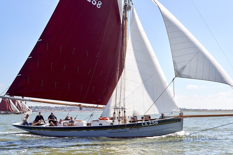 _DSC4384 - Rowhedge Regatta 2018