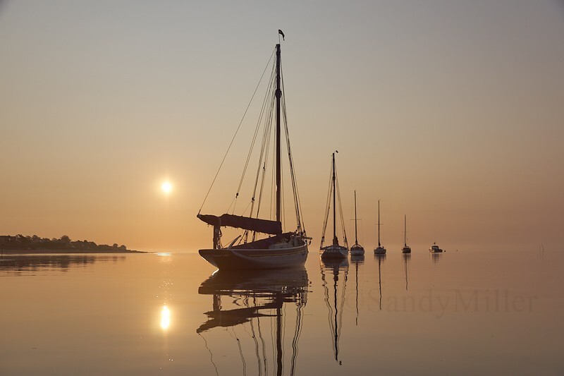 _DSC1663 - Estuary light