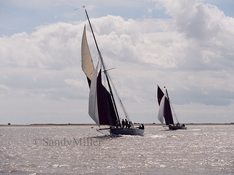 _1019852 - Wivenhoe Regatta 2022