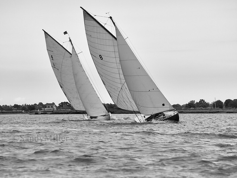 _1014190 - Maldon Regatta 2025