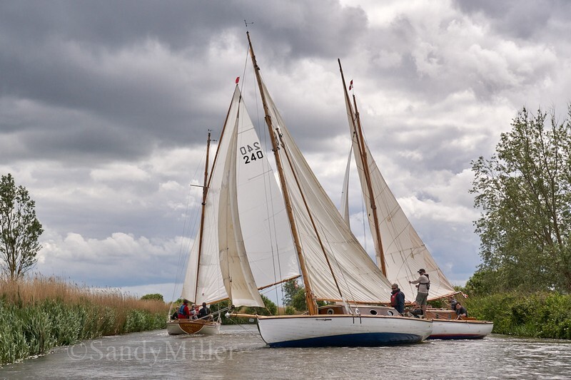 _DSC4704 - 3 Rivers Race 2022