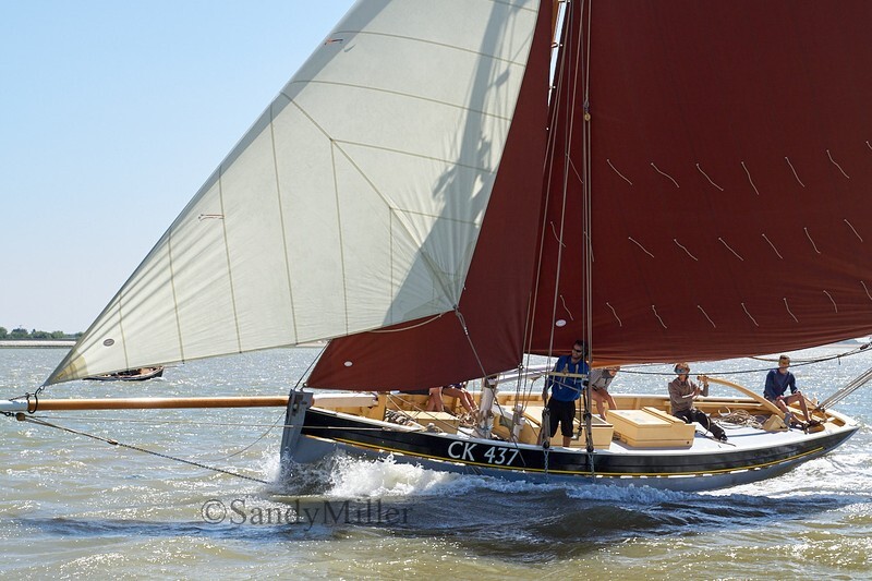 _DSC9033 - Rowhedge Regatta 2018