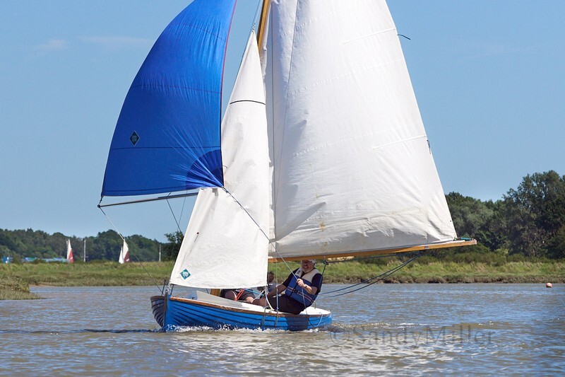 _DSC3791 1 - Rowhedge Regatta 2019