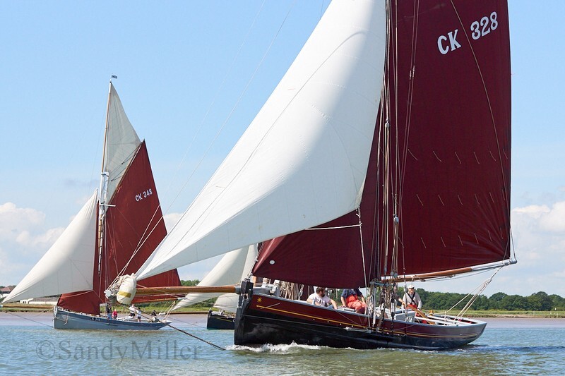 _DSC3706 - Rowhedge Regatta 2019