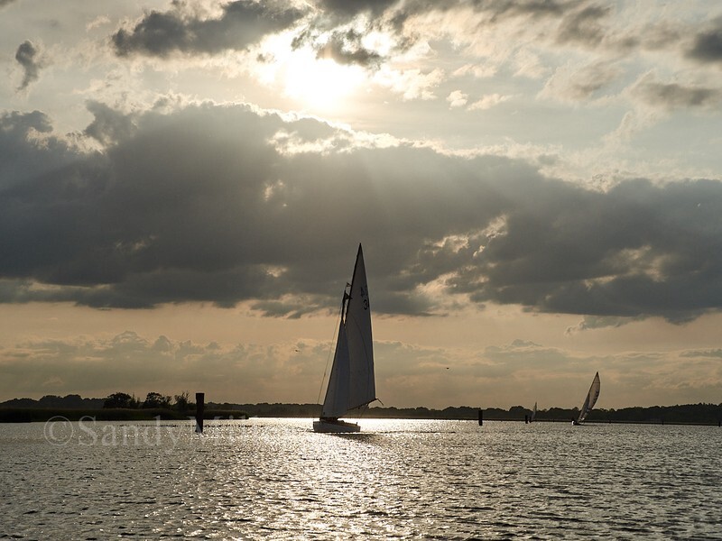 _1010328 - 3 Rivers Race 2025