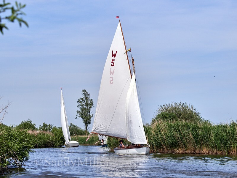 _1016317 - 3 Rivers Race 2026