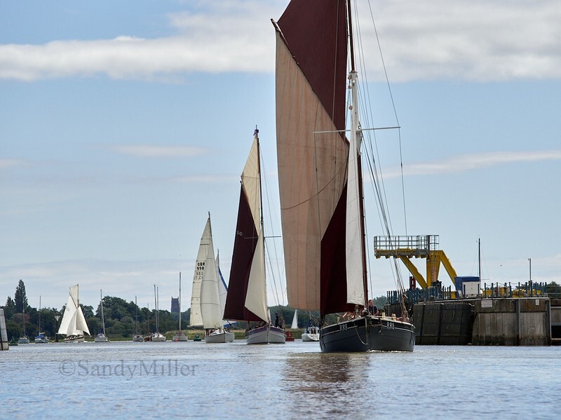 _6223884  - Wivenhoe Regatta 2024