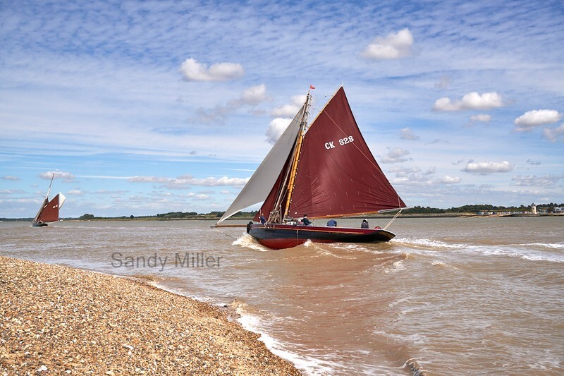 _DSC5263  - Wivenhoe Regatta 2022