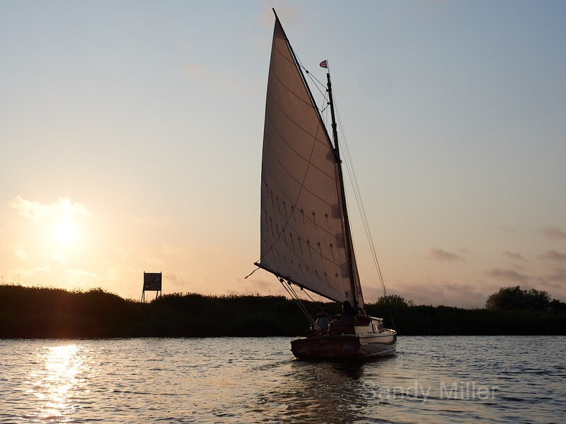 _6030129 - Three Rivers Race 2023