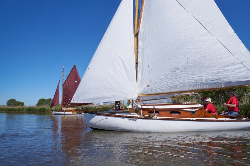 _DSC9978  - 3 Rivers Race 2021