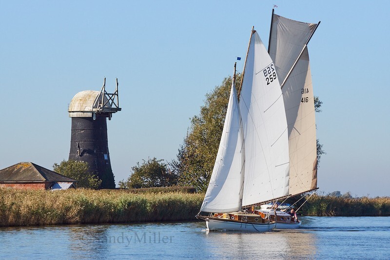 _DSC0644 - Tri-Icicle 2018