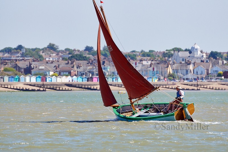 _DSC4421 - Rowhedge Regatta 2018