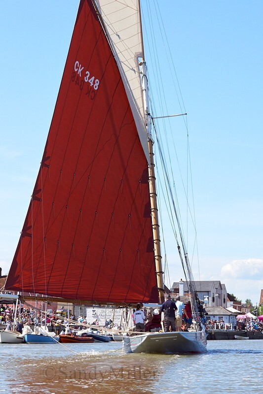 _DSC3809 - Rowhedge Regatta 2019