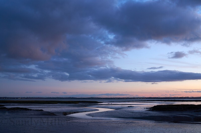 _DSC1935 - Estuary light