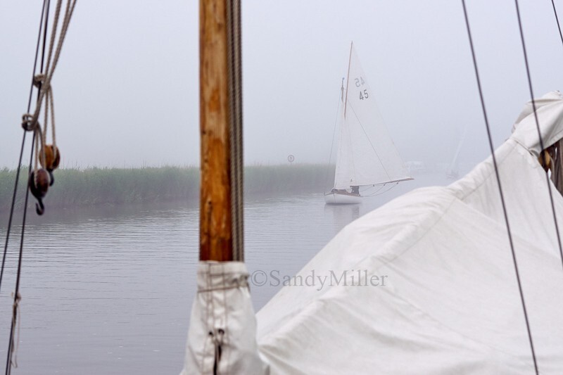 _DSC3125 - 3 Rivers Race 2018