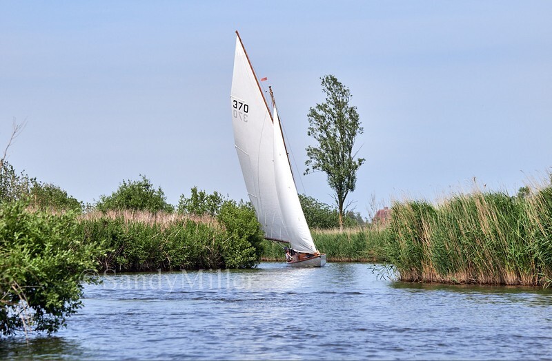 _1016320 - 3 Rivers Race 2026