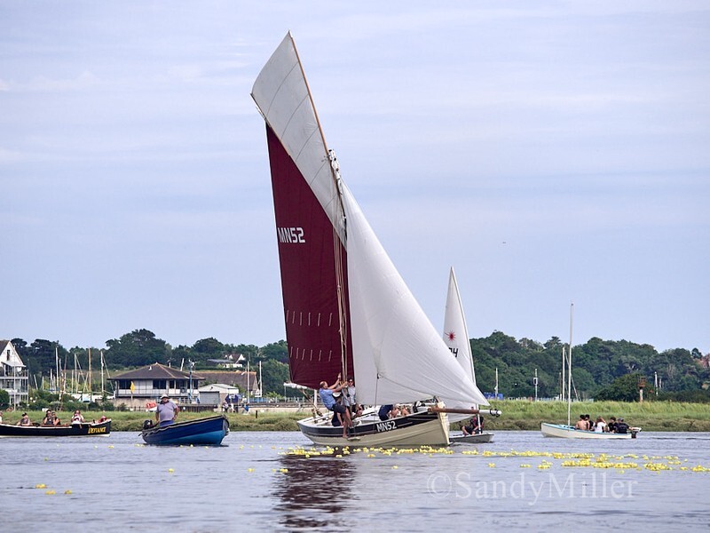 _1017474 - Rowhedge Regatta 2026