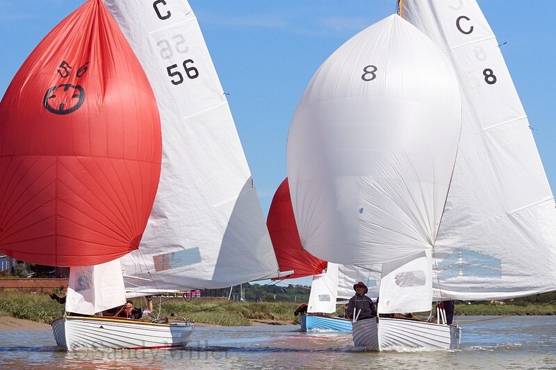 _DSC3771 - Rowhedge Regatta 2019