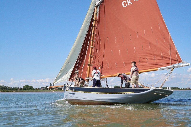 _DSC9591 - Rowhedge Regatta 2019