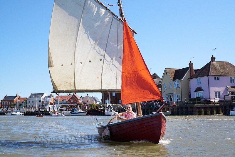 _DSC9663 - Rowhedge Regatta 2019