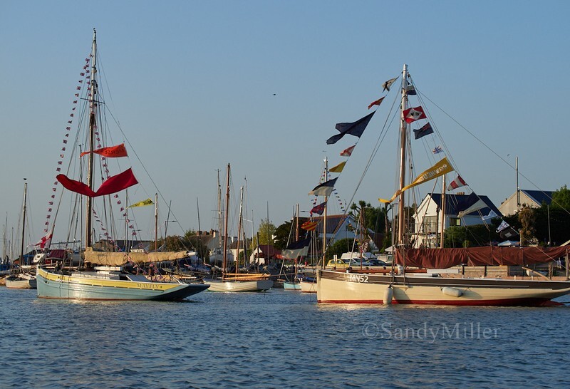 _1016003 - Essex Heritage Workboats at Mersea