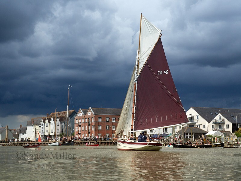 _6220082  - Wivenhoe Regatta 2024