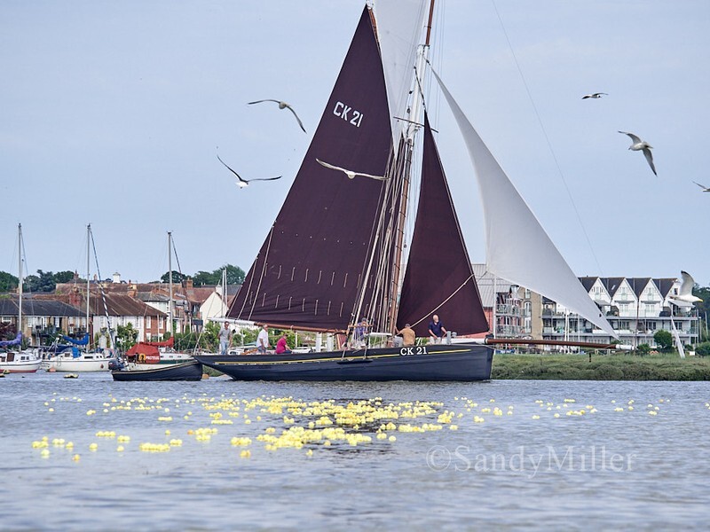 _1017469 - Rowhedge Regatta 2026