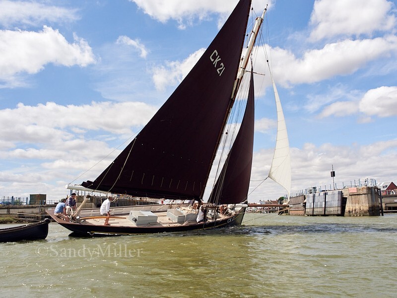 _1010029 - Wivenhoe Regatta 2026