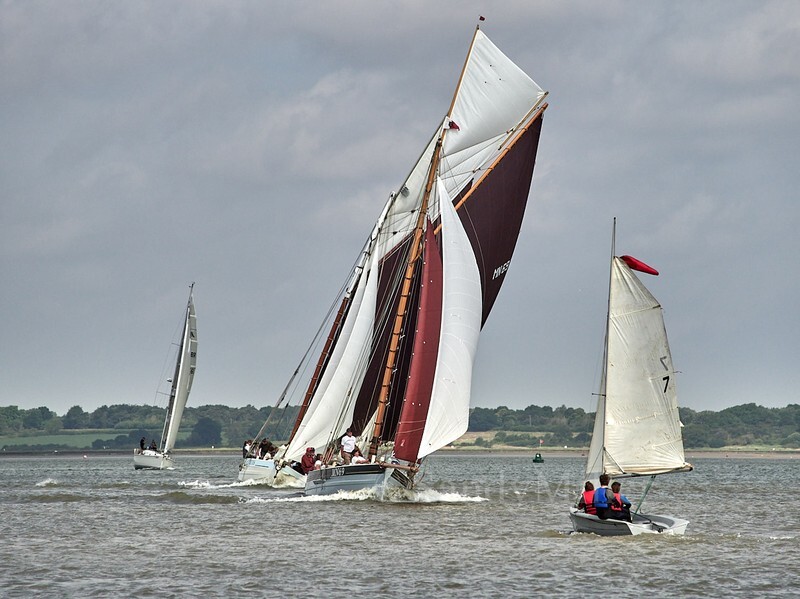 _1019838 - Rowhedge Regatta 2025