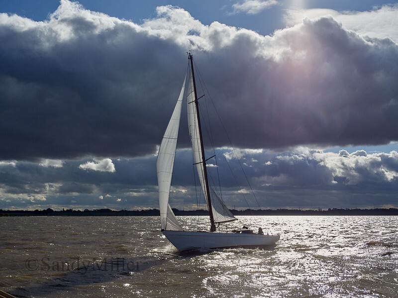 _1010090 - Turkey Race 2025