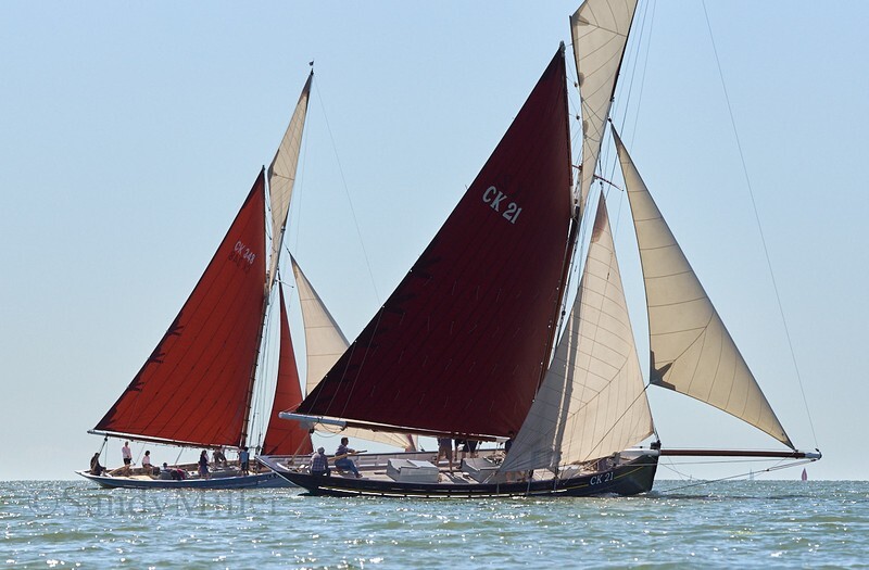 _DSC3717 - Rowhedge Regatta 2019