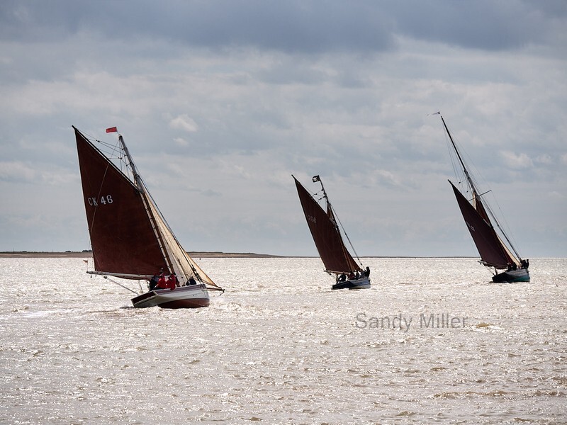 _1019814  - Wivenhoe Regatta 2022