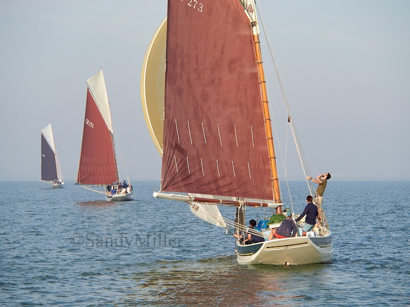 _9167486 - Maldon Regatta 2023