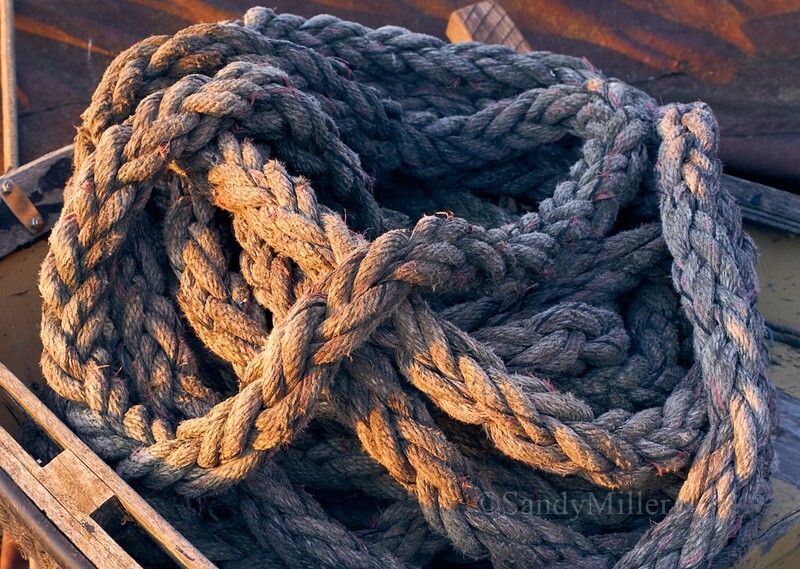 _DSC9112 - New work