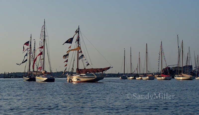 _1015974 - Essex Heritage Workboats at Mersea
