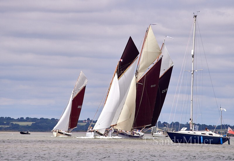 _1017256 - Rowhedge Regatta 2026