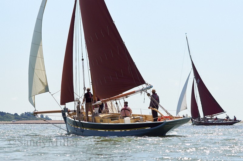 _DSC3724 - Rowhedge Regatta 2019