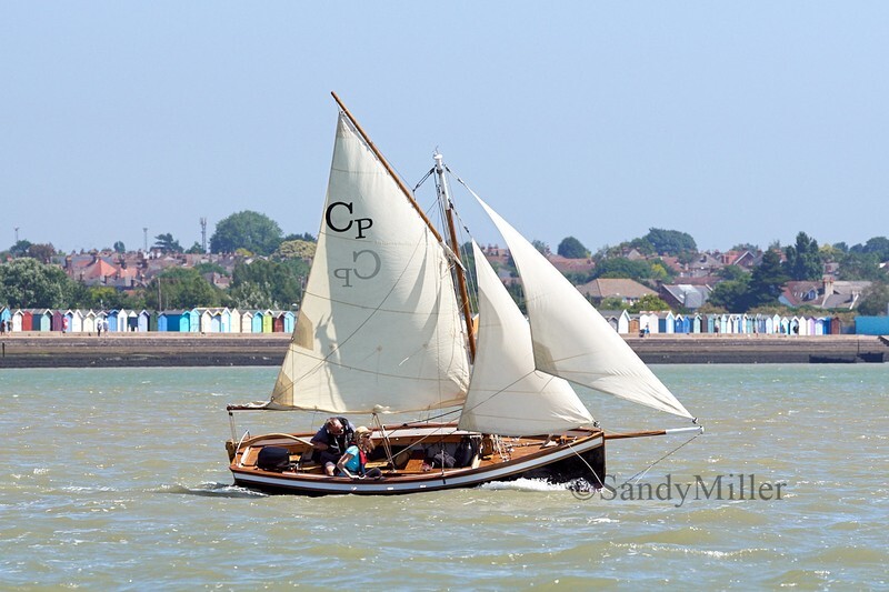 _DSC4446 - Rowhedge Regatta 2018