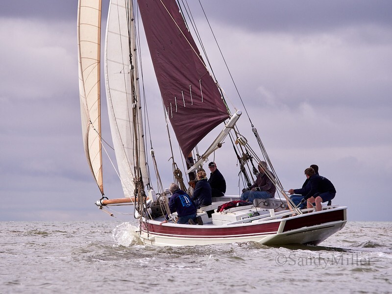 _6223777  - Wivenhoe Regatta 2024