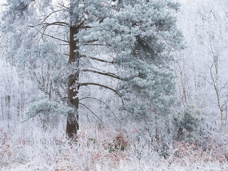  - Within a Few Miles