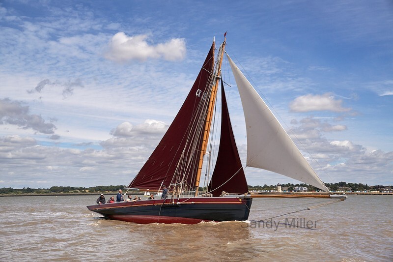 _DSC5282  - Wivenhoe Regatta 2022