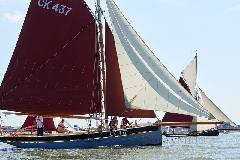 _DSC3715 - Rowhedge Regatta 2019