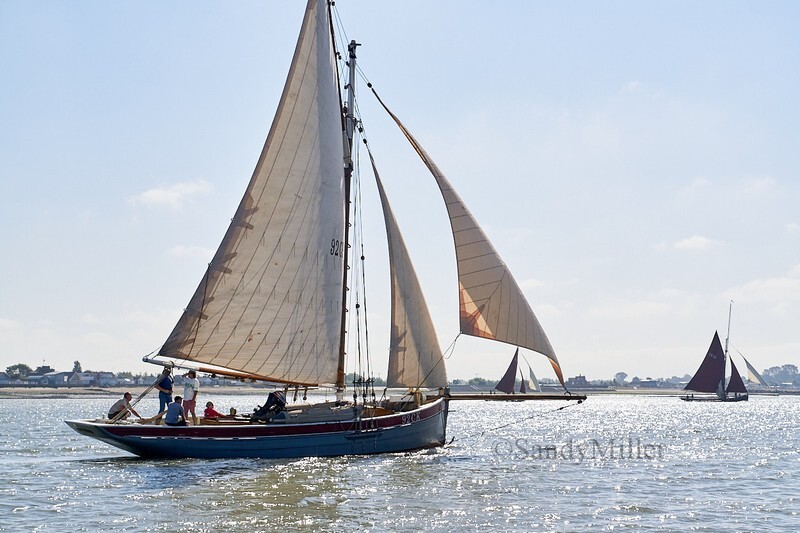_DSC9002 - Rowhedge Regatta 2018