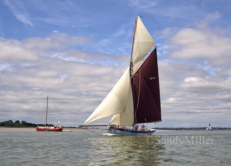 _1010037 - Rowhedge Regatta 2026