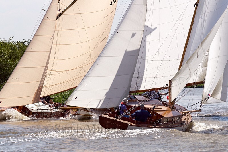 _DSC5704 - YSC Cantley Regatta 2018