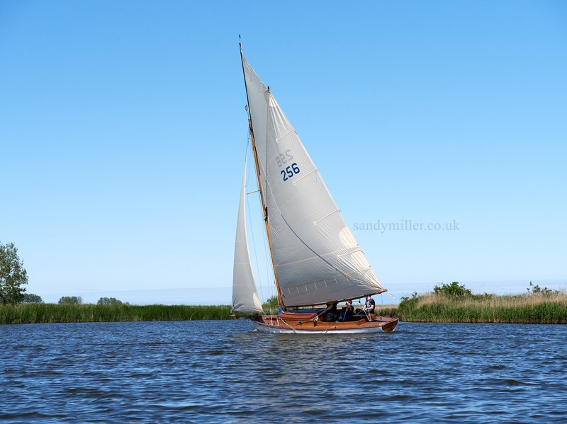 _1003994  - 3 Rivers Race 2021