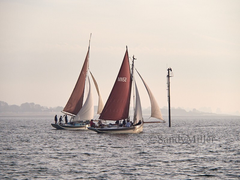 _9167457 - Maldon Regatta 2023