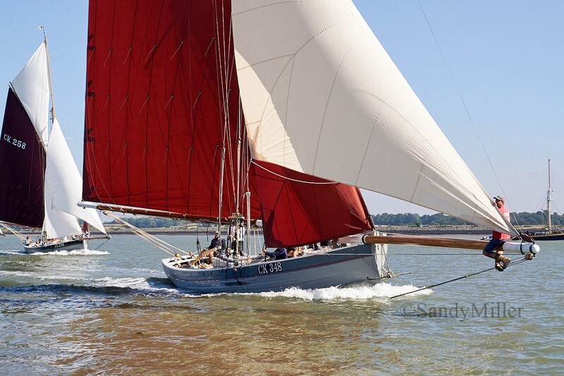 _DSC8989 - Rowhedge Regatta 2018